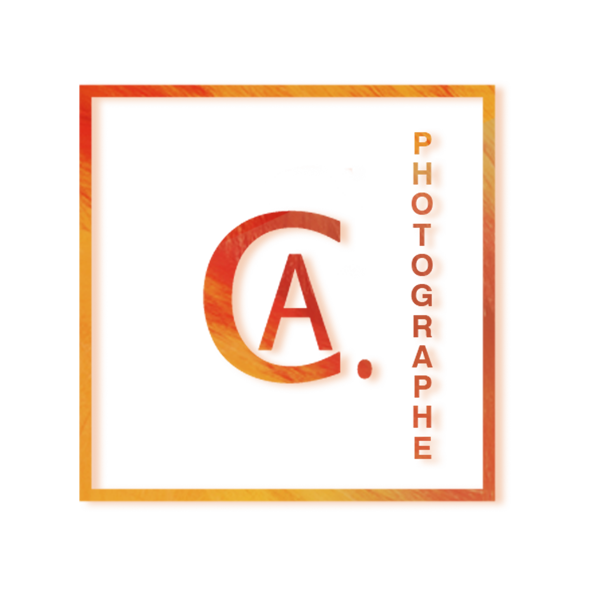 logo; arthur cerica;