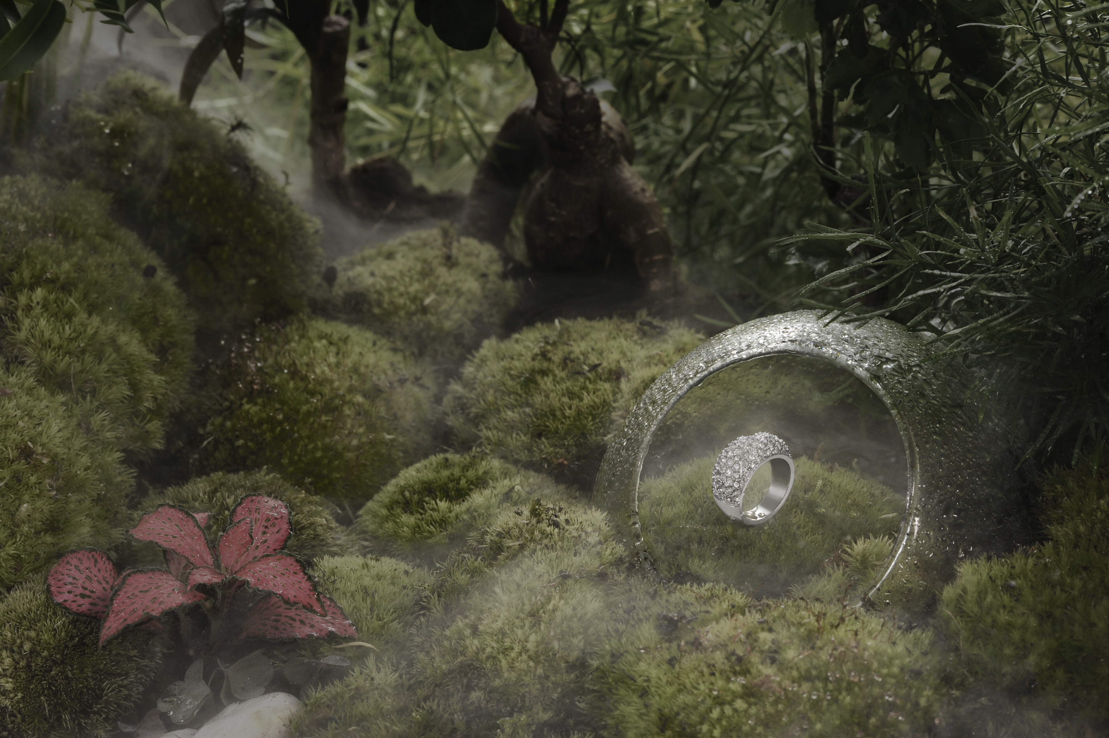 Bijoux, nature morte, argent, jungle