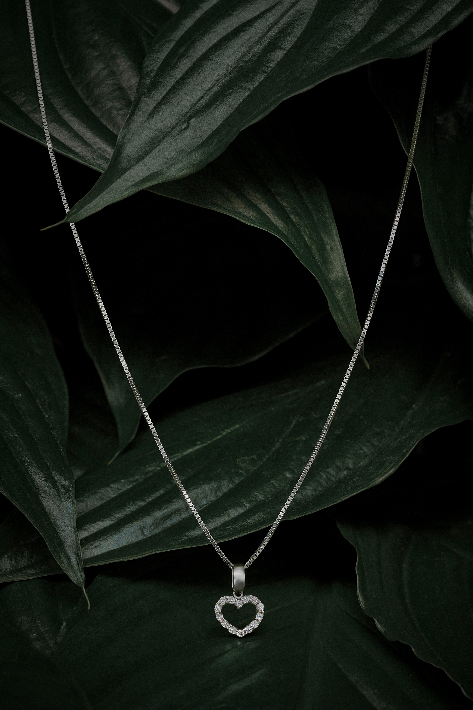 Dark light — Arthur Cerica