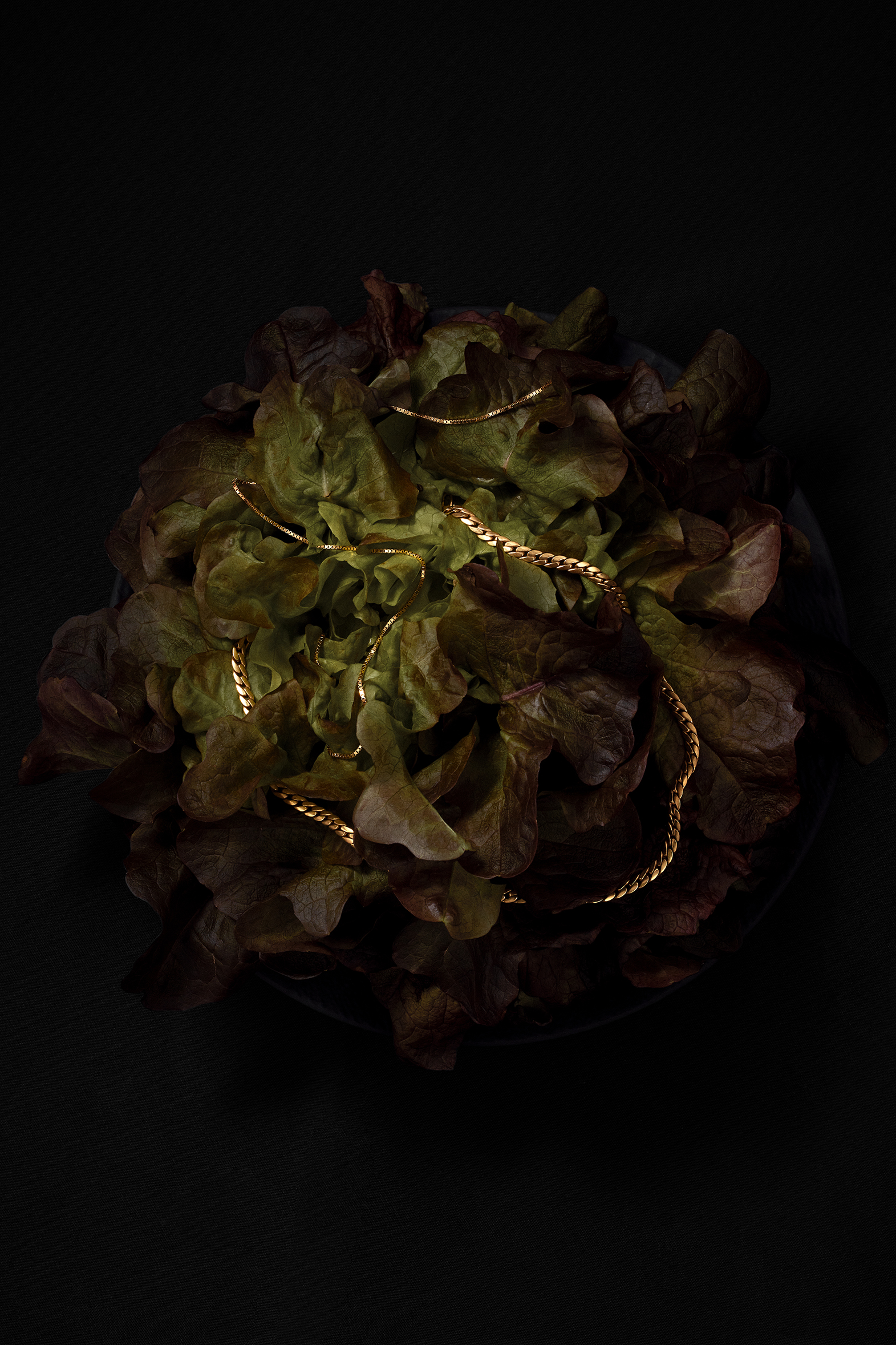 Feuille de Chaine — Arthur Cerica